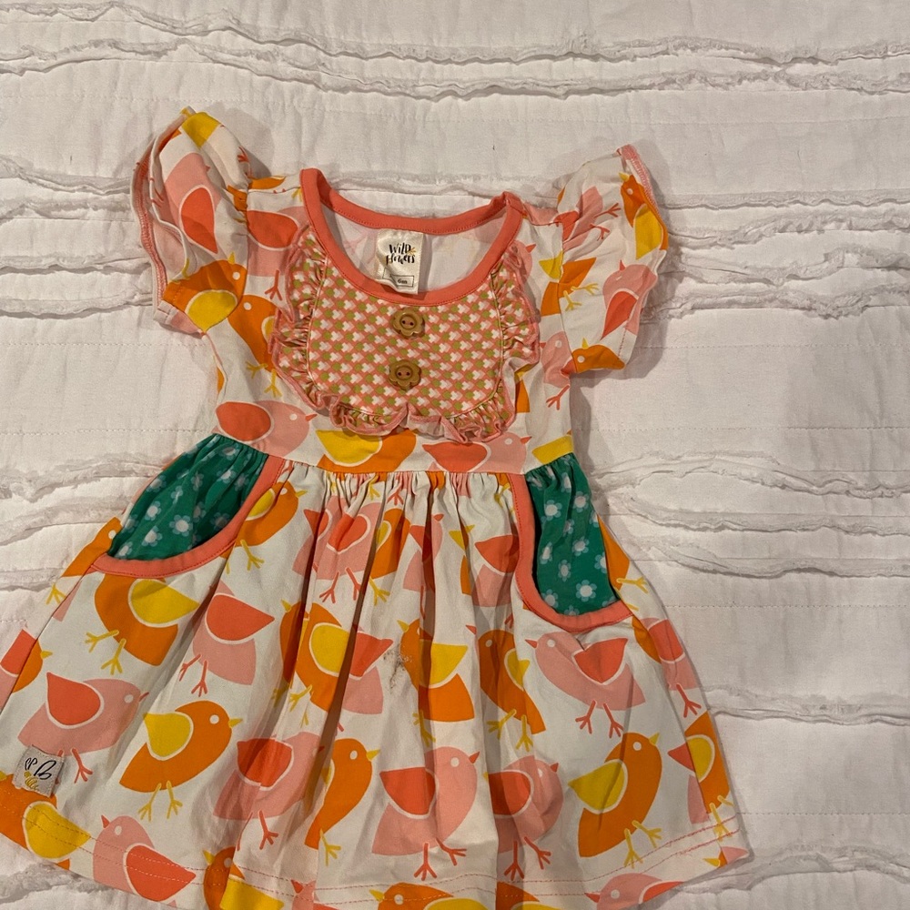 Wild Flowers size 6 months dress.